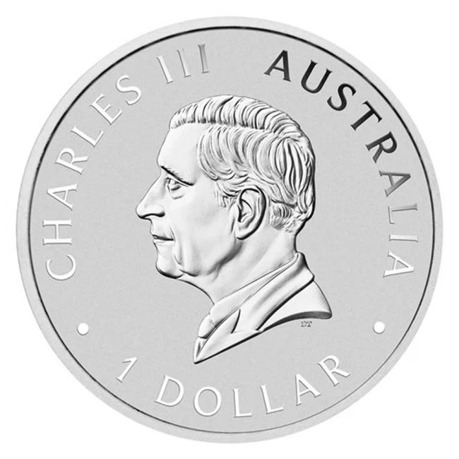 Moneda Argint 1 oz Brumby 2024